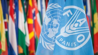 Call for Expression of Interest: Paid 2025 FAO Internship Programme for Europe and Central Asia (REU)