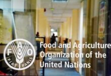 Exciting Opportunity: Apply Now for the 2025 FAO Fellowship Programme!