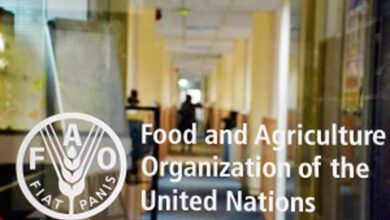 Exciting Opportunity: Apply Now for the 2025 FAO Fellowship Programme!