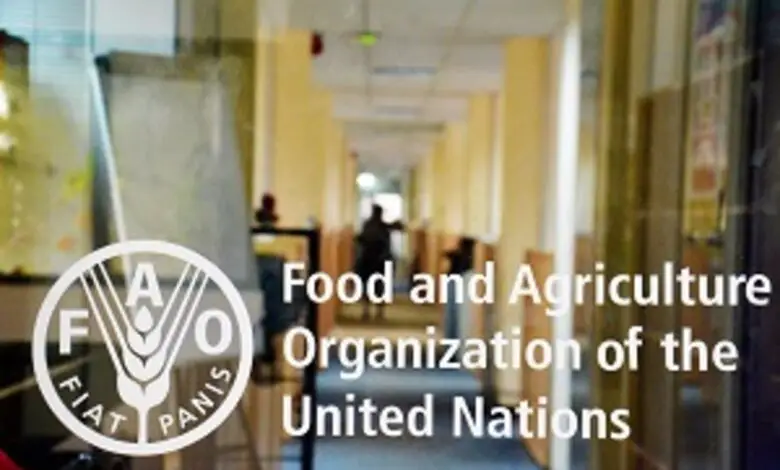 Exciting Opportunity: Apply Now for the 2025 FAO Fellowship Programme!