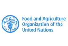 Applications are now open for the Paid 2025 FAO Internship Programme for Africa (RAF)