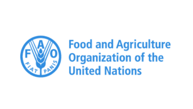 Applications are now open for the Paid 2025 FAO Internship Programme for Africa (RAF)