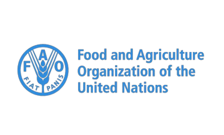 Applications are now open for the Paid 2025 FAO Internship Programme for Africa (RAF)