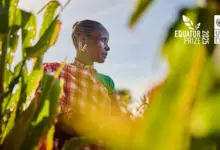 Call for Applications: UNDP Equator Prize 2025 (ten winners will receive a prize of USD 10,000 each)