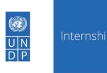 Apply for the Business and Human Rights Internship at UNDP (Geneva or Home Based with monthly stipend)