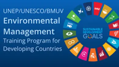 Apply for the UNEP/UNESCO/BMUV International Short Course on Sustainable Mobility (16 fully funded fellowships)