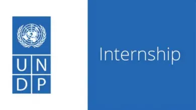 Remote Internship Opportunity: 2025 Global Call for Digital Transformation Internship at UNDP