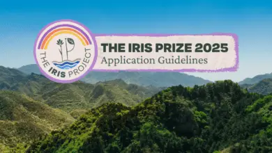 Call for Applications: The Iris Prize 2025 for Youth-led initiatives (3 prizes up to $15 000)