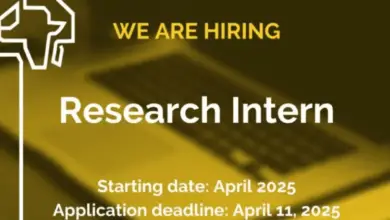 Remote Internship Opportunity: Join Africa Policy Research Institute as a Research Intern (520€ stipend)