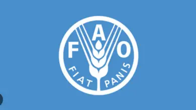 FAO is recruiting for Climate Change and Sustainable Agriculture Specialist based in various locations