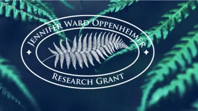 Apply for the JWO Research Grant 2025 for early-career scientists that are conducting impactful research (grant of $150,000 awarded)