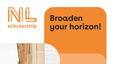 Applications are now open for the 2025/26 NL Scholarships for international students to study in the Netherlands