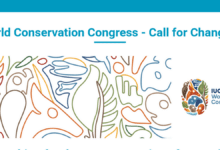 Call for Changemakers to join the fully-funded IUCN World Conservation Congress 2025 in Abu Dhabi