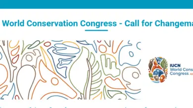 Call for Changemakers to join the fully-funded IUCN World Conservation Congress 2025 in Abu Dhabi