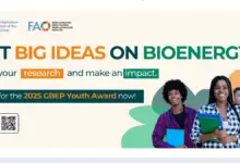 Call for Applications: FAO's 2025 Global Bioenergy Partnership Youth Award