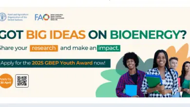 Call for Applications: FAO's 2025 Global Bioenergy Partnership Youth Award