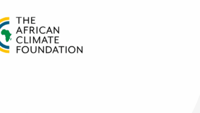 Join the African Climate Foundation as a fully remote African Energy Futures (AEF) Initiative: Senior Strategist
