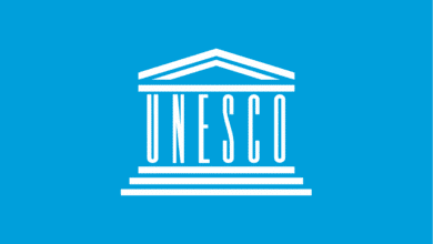 Remote Opportunity at UNESCO: Call for Proposals for Development Self-Learning Course on Digital Competencies for Literacy Educators