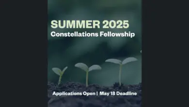 Exciting virtual program opportunity: Apply for the Summer 2025 Constellation Fellowship ($1,000 stipend)