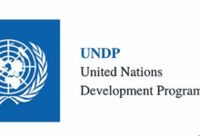 Apply for the International Research Fellowship at UNDP