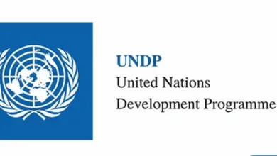 Apply for the International Research Fellowship at UNDP
