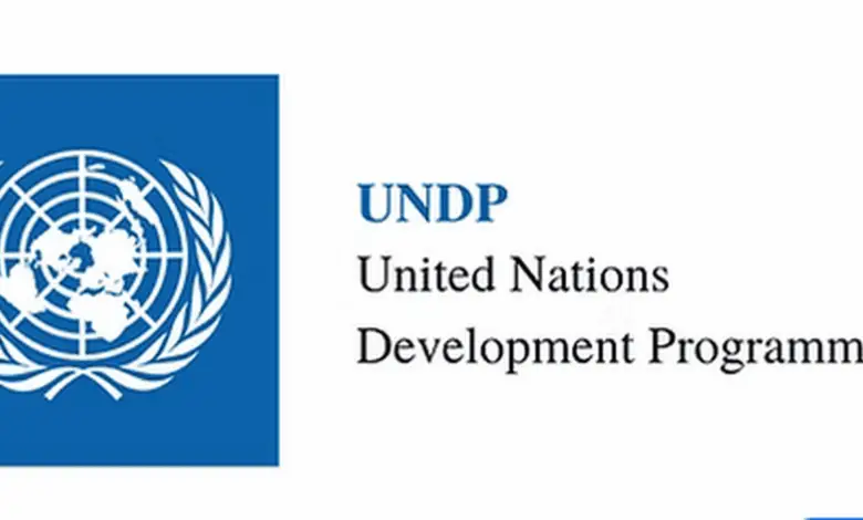 Apply for the International Research Fellowship at UNDP
