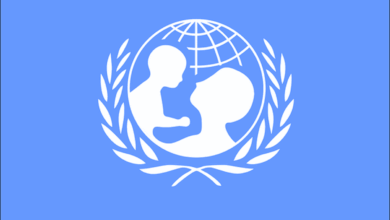 Exciting home-based Consultany: Join UNICEF as a Partnership Communications Specialist
