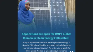 Call for Applications: RMI's Global Women in Clean Energy Fellowship Program