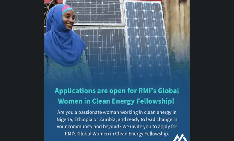 Call for Applications: RMI's Global Women in Clean Energy Fellowship Program
