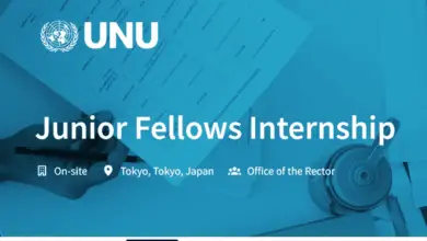 Applications are open for the Paid UNU Junior Fellows Internship for Fall 2025