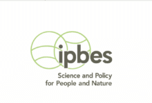 Apply to join the fully funded Regional Youth Workshop on IPBES for Europe and Central Asia 2025