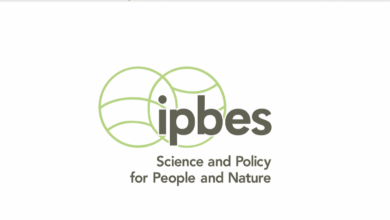 Apply to join the fully funded Regional Youth Workshop on IPBES for Europe and Central Asia 2025