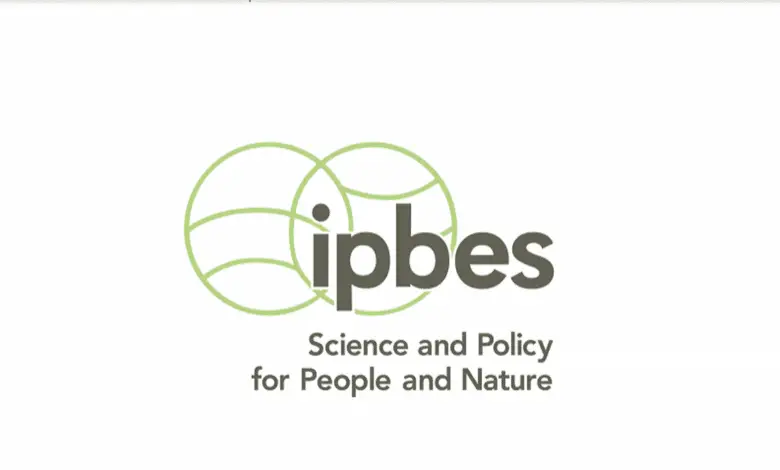 Apply to join the fully funded Regional Youth Workshop on IPBES for Europe and Central Asia 2025