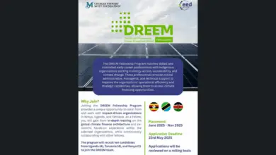 Call for Applications for the 2nd Cohort of the Funded DREEM Fellowship Program