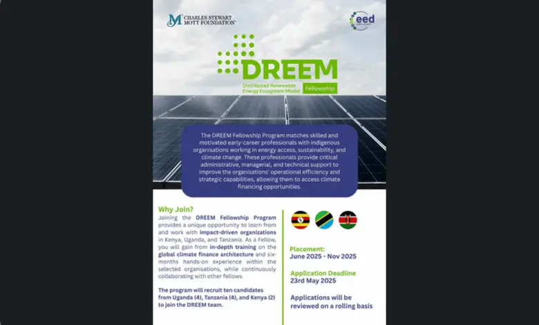Call for Applications for the 2nd Cohort of the Funded DREEM Fellowship Program