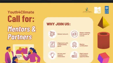Apply for the UNDP Youth4Climate Call for Mentors and Partners