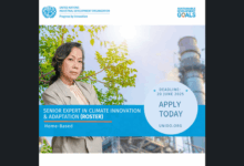 Call for Expression of Interest to join the Senior Experts in Climate Innovation & Adaptation - International Consultant Roster at UNIDO (Home-based)