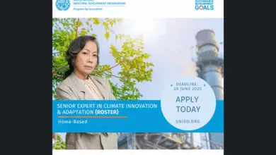 Call for Expression of Interest to join the Senior Experts in Climate Innovation & Adaptation - International Consultant Roster at UNIDO (Home-based)