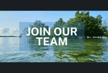 Plan Vivo Foundation (PVF) is recruiting for 2 fully remote Regional Project Officers based in Latin America or East Africa