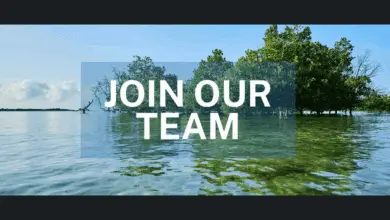 Plan Vivo Foundation (PVF) is recruiting for 2 fully remote Regional Project Officers based in Latin America or East Africa