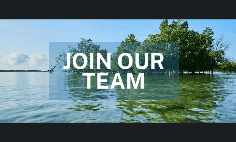 Plan Vivo Foundation (PVF) is recruiting for 2 fully remote Regional Project Officers based in Latin America or East Africa
