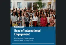 SEforALL is recruiting for Head of International Engagement Position: Apply Now!