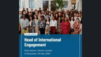SEforALL is recruiting for Head of International Engagement Position: Apply Now!