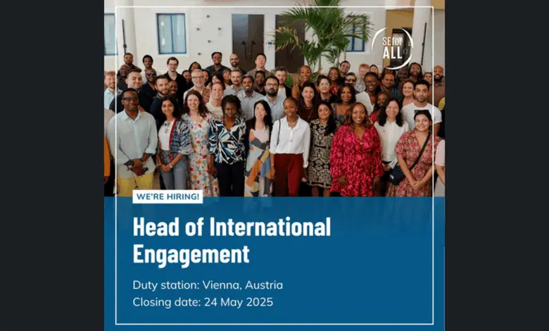 SEforALL is recruiting for Head of International Engagement Position: Apply Now!