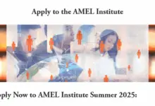 Call for Applications: Join the AMEL Institute Summer 2025 program, fully online academy that provides free training to young activists