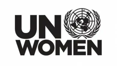 Exciting Home-Based Consultancy: Join UN Women as an Information Management Specialist