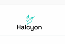 Apply for the Exciting Halcyon's Latin America & the Caribbean Climate Fellowship ($5,000 USD per venture equity-free stipend)