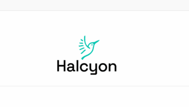 Apply for the Exciting Halcyon's Latin America & the Caribbean Climate Fellowship ($5,000 USD per venture equity-free stipend)