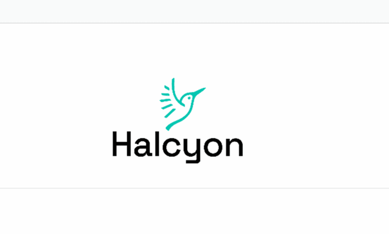Apply for the Exciting Halcyon's Latin America & the Caribbean Climate Fellowship ($5,000 USD per venture equity-free stipend)
