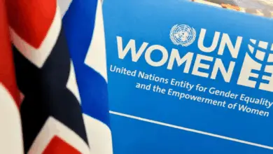 Exciting home-based consultancy: Join UN Women as an Environmental Sustainability Consultant